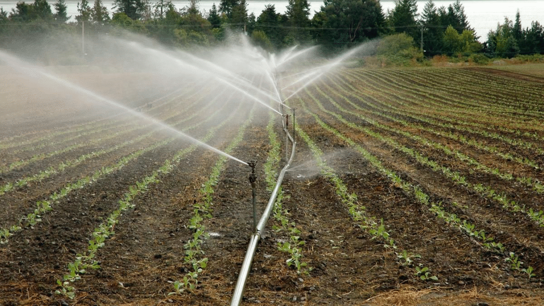 Sprinkler Trenching